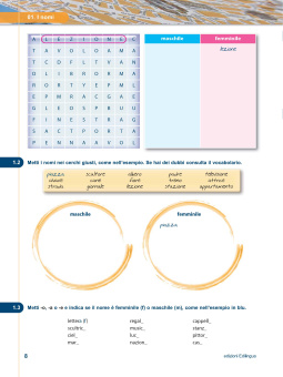 Via della Grammatica купить